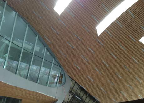 OV-Terminal Arnhem met prachtige plafonds De ontdekking van de hemel. Hij is van hout!